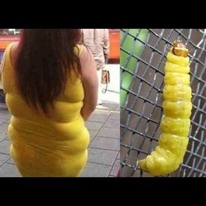 Meet your Posher, Patsy